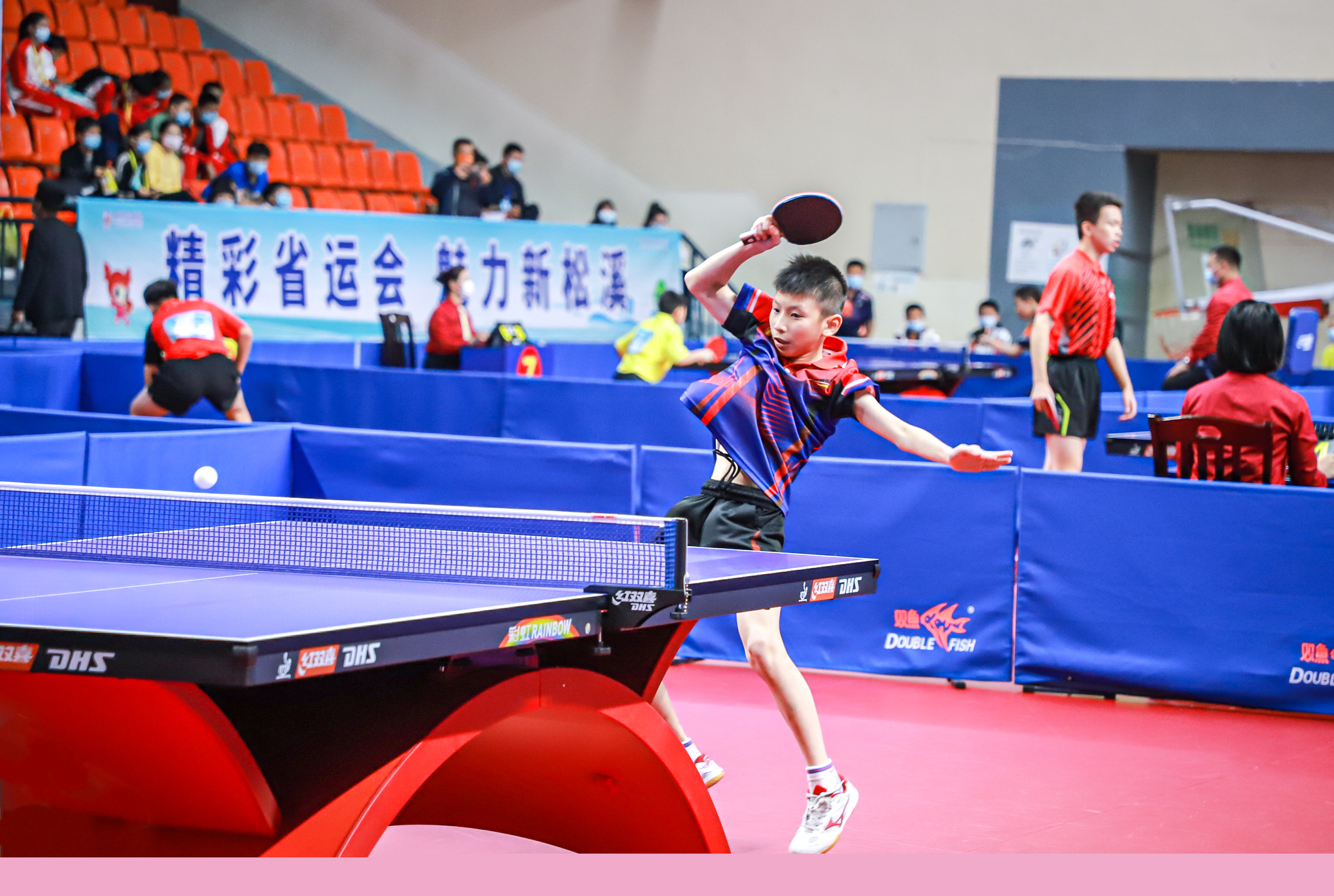 了国际泳坛 了国际泳坛