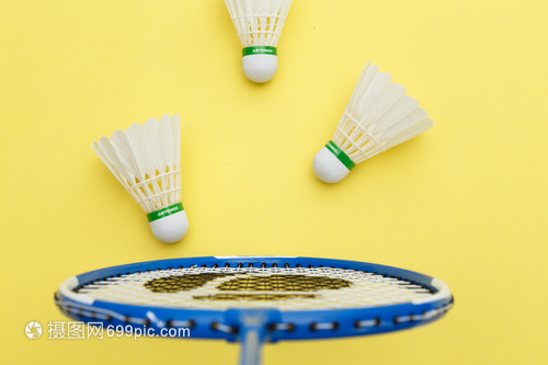 青岛海牛教 青岛海牛教