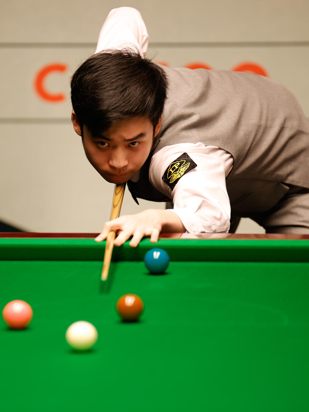 质上不断进 质上不断进